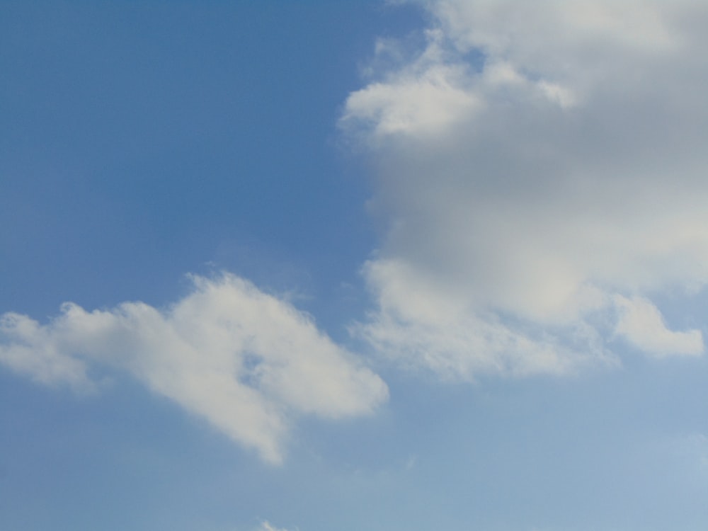 a group of people flying a kite in the sky