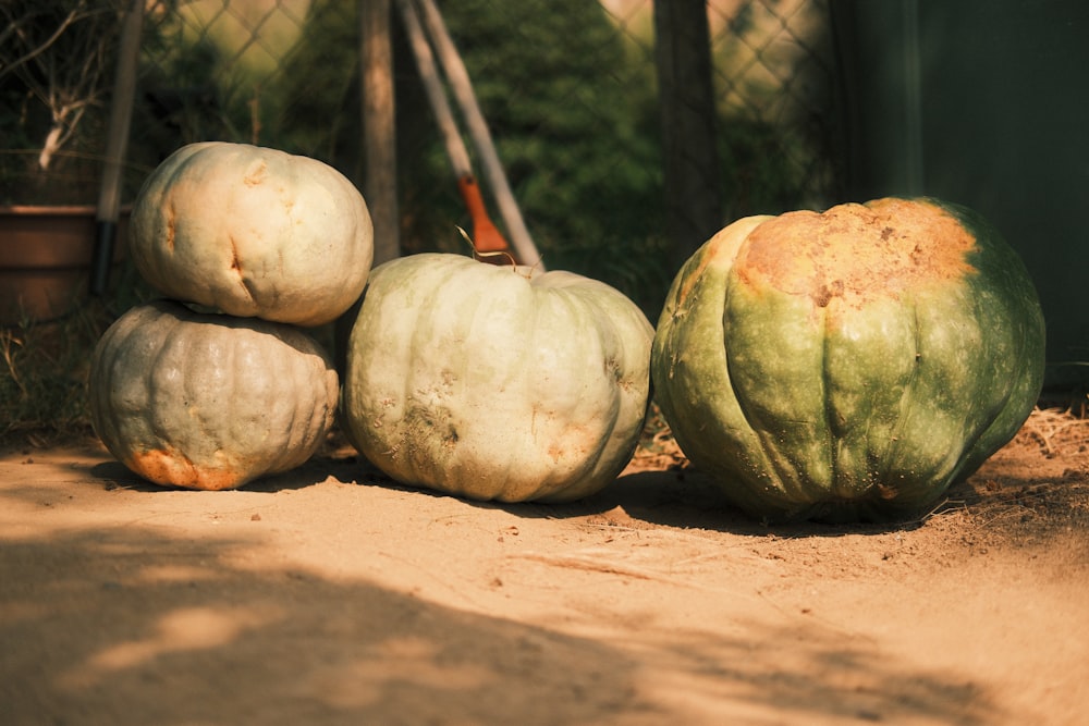 a pile of pumpkins sitting on top of a dirt ground