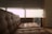 A cozy brown leather sofa with tufted cushions is positioned in a room with soft natural lighting. Behind the sofa, a large window covered by sheer curtains allows a filtered view of the outside, hinting at greenery and relaxed outdoor seating furniture.
