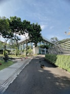 A completed commercial building surrounded by landscaped greenery.