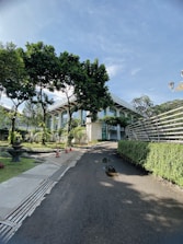 A lush green space around a modern building illustrating sustainability in facilities management.