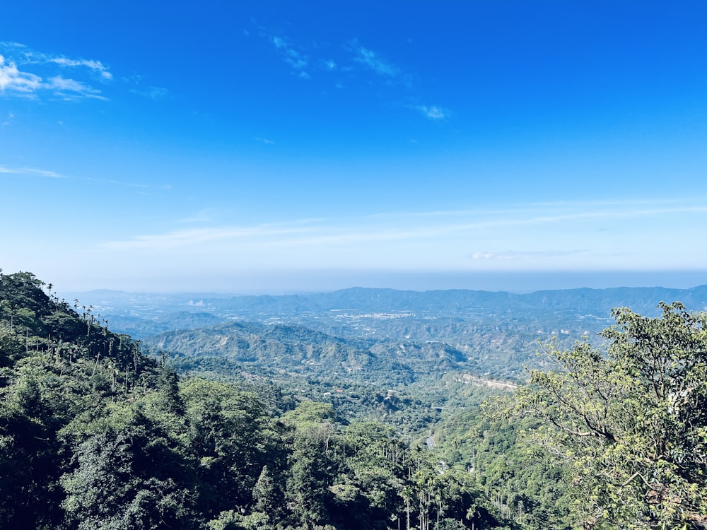 a scenic view of a valley with trees and mountains in the background