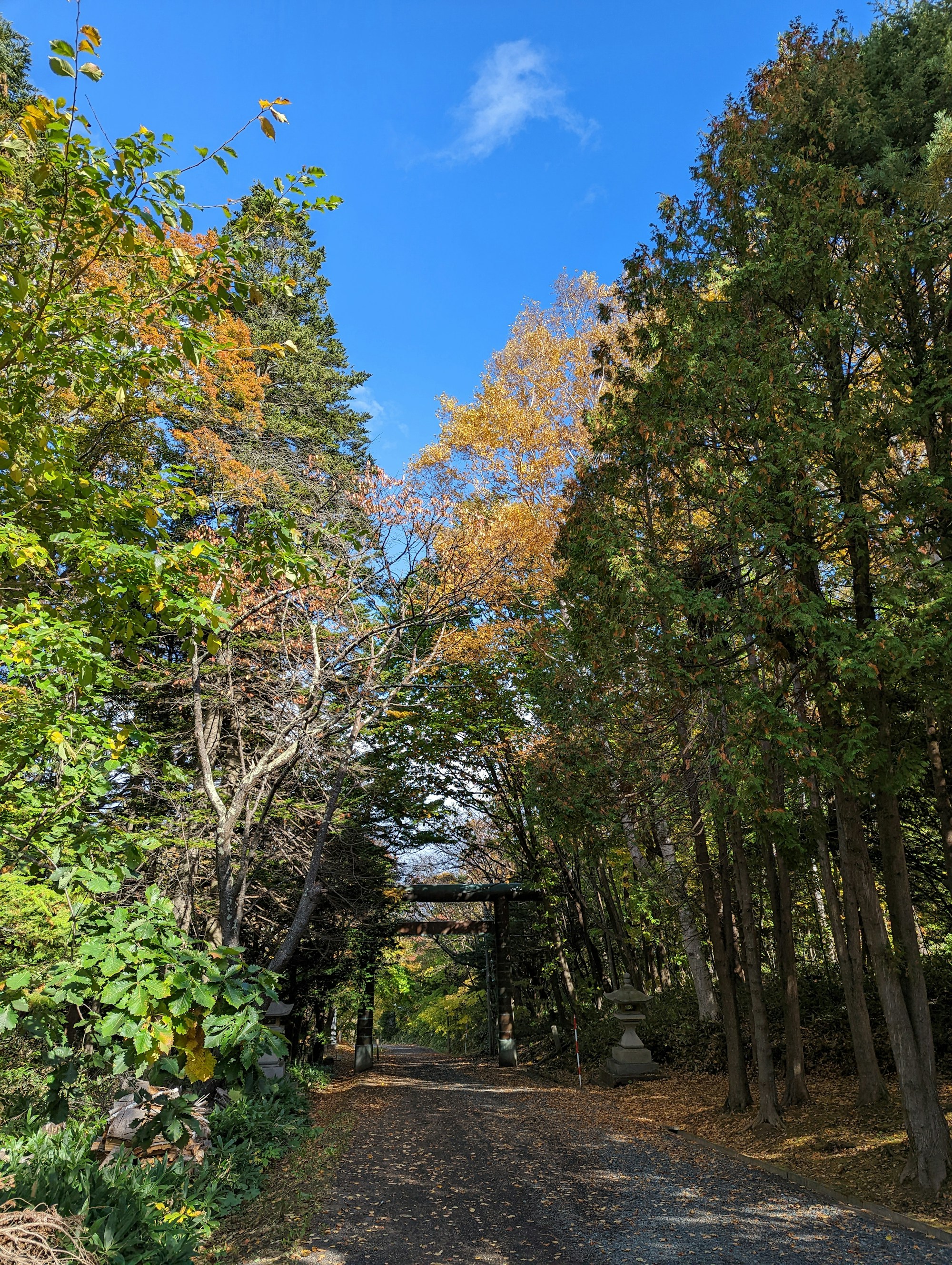 Discover Abashiri: A Journey into Local Culture & Traditions