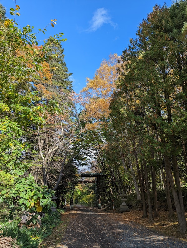 Abashiri: Exploring Local Culture & Traditions