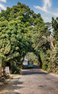 A shuttle driving along a scenic road surrounded by lush Costa Rican greenery.