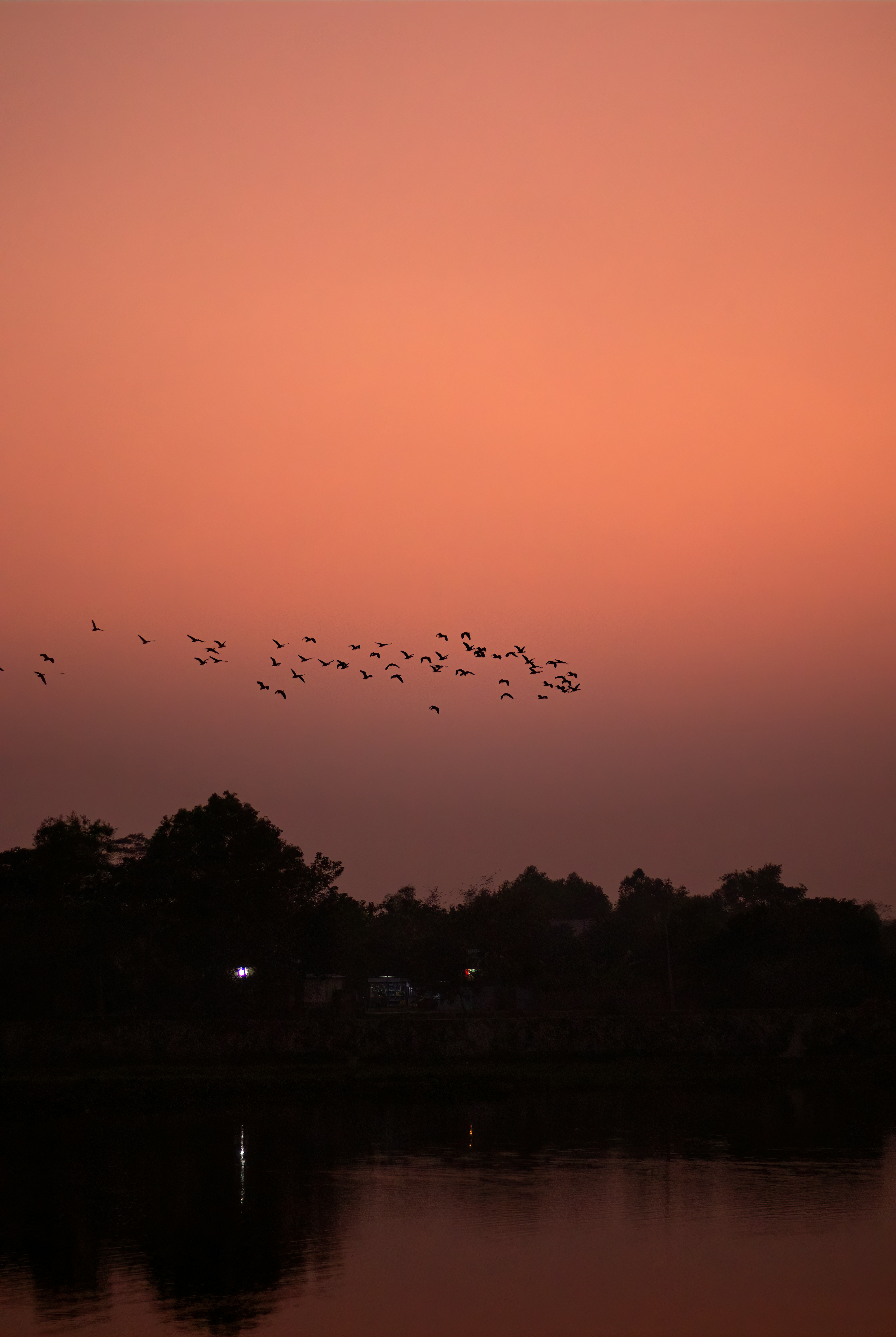 Photo by shakib2777