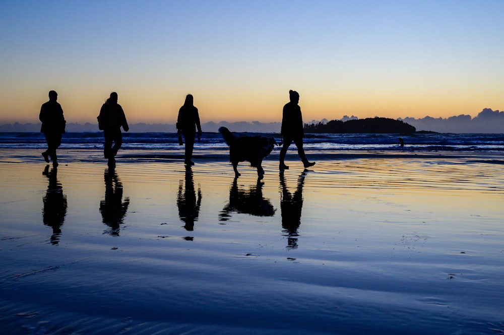 a group of people walking along a beach with a dog