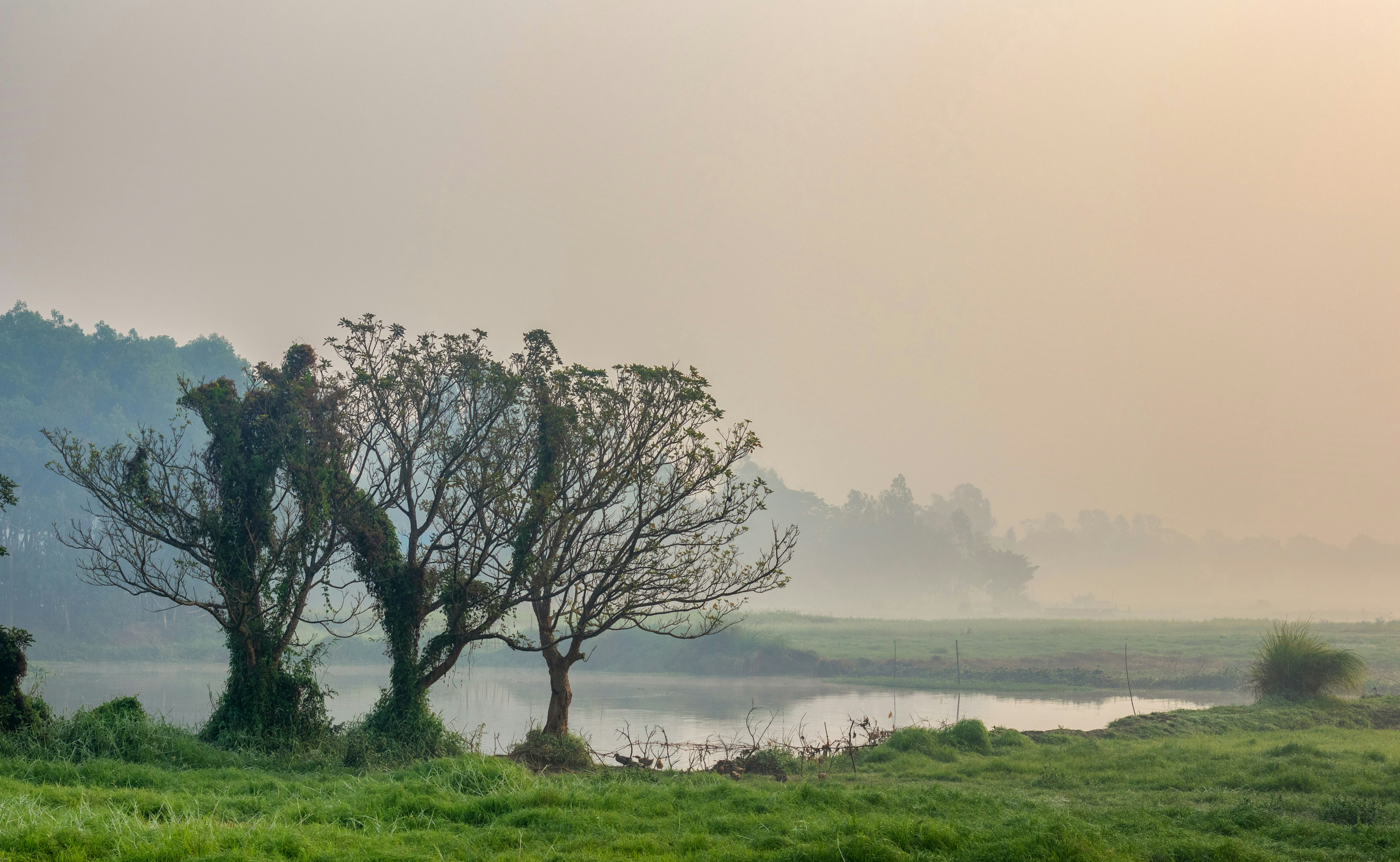 Photo by shakib2777