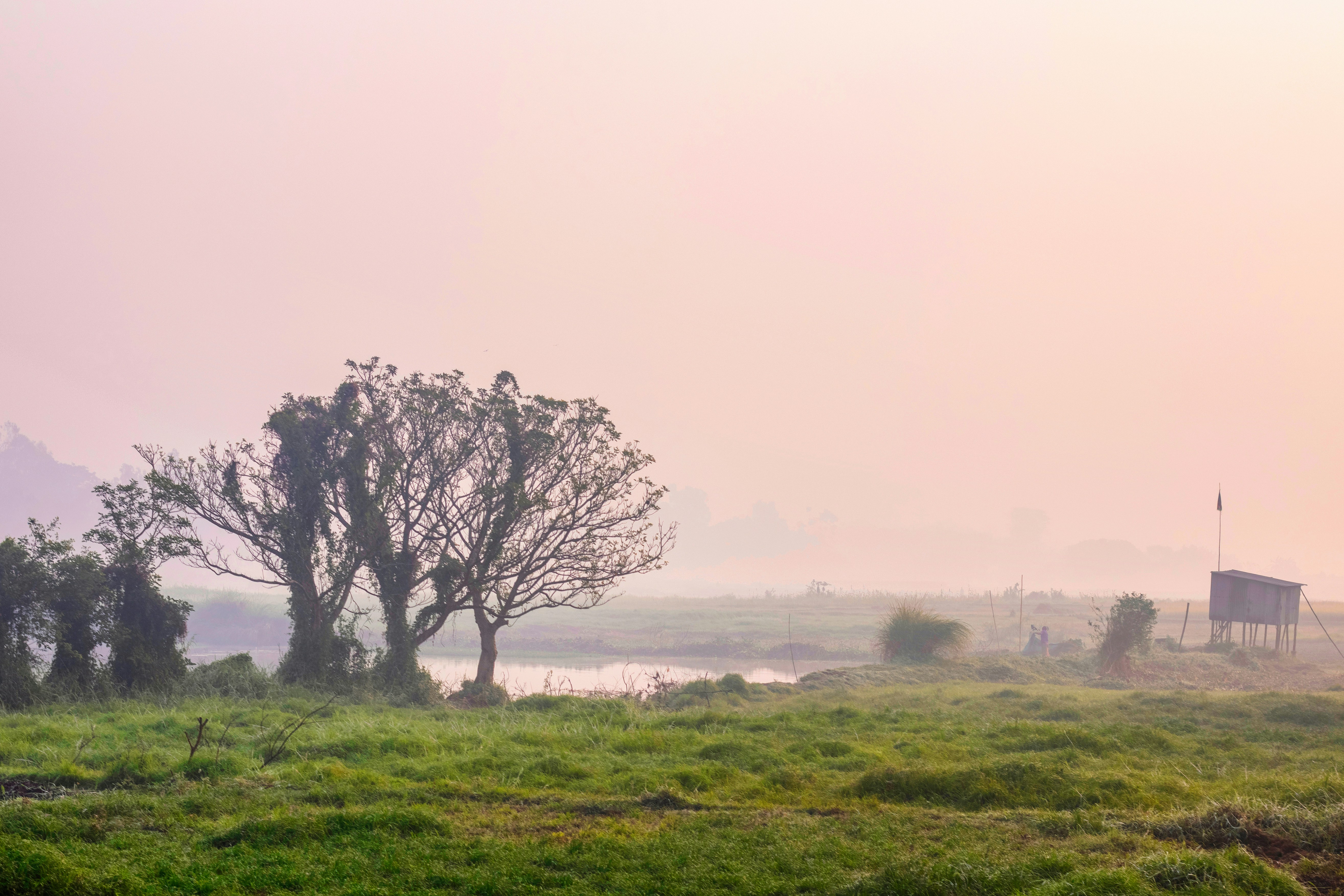 Photo by shakib2777