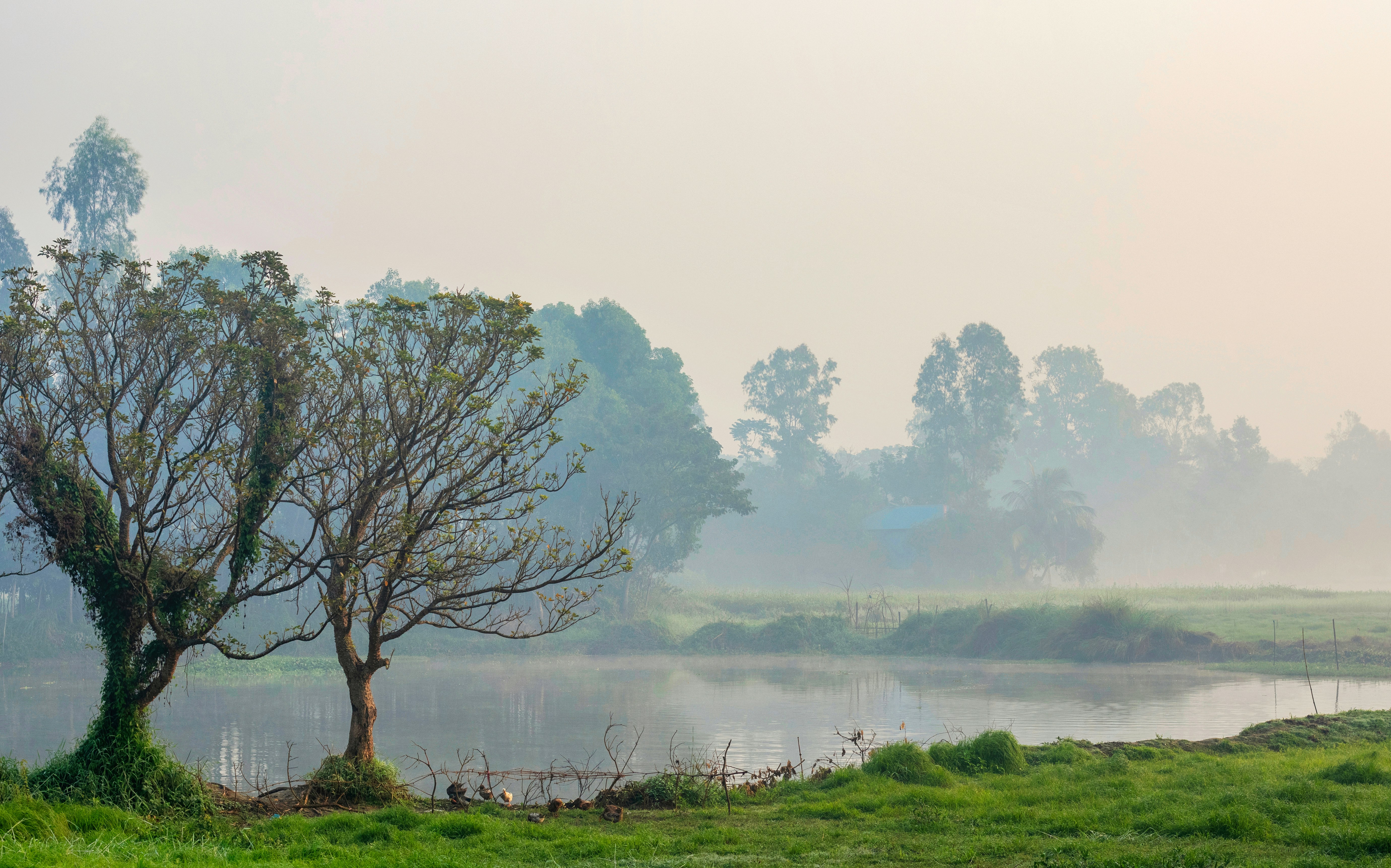 Photo by shakib2777