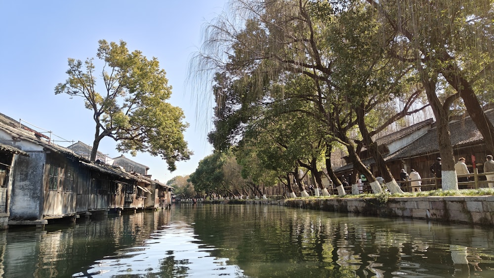 a body of water surrounded by trees and buildings