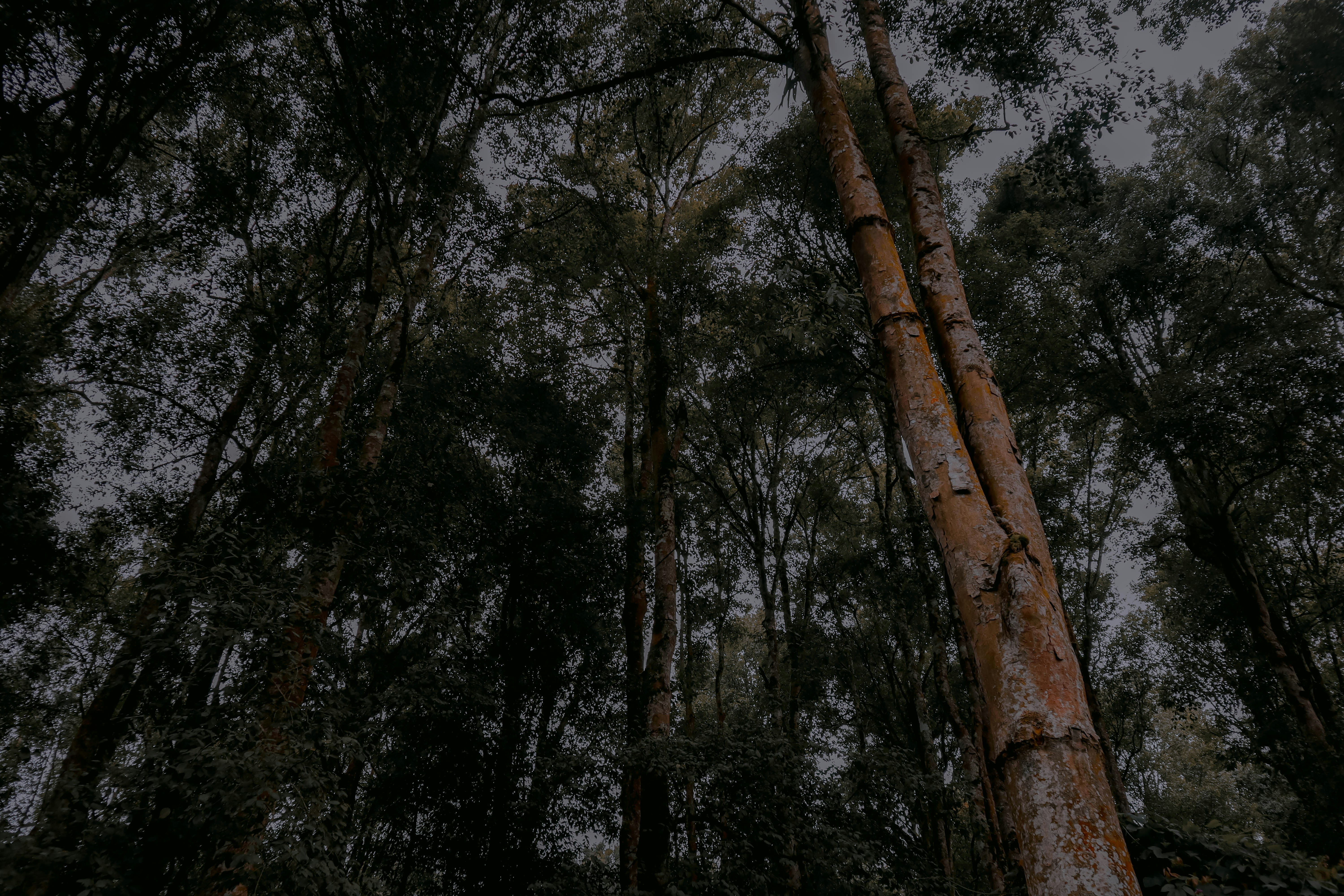 Photo by winduhermawan