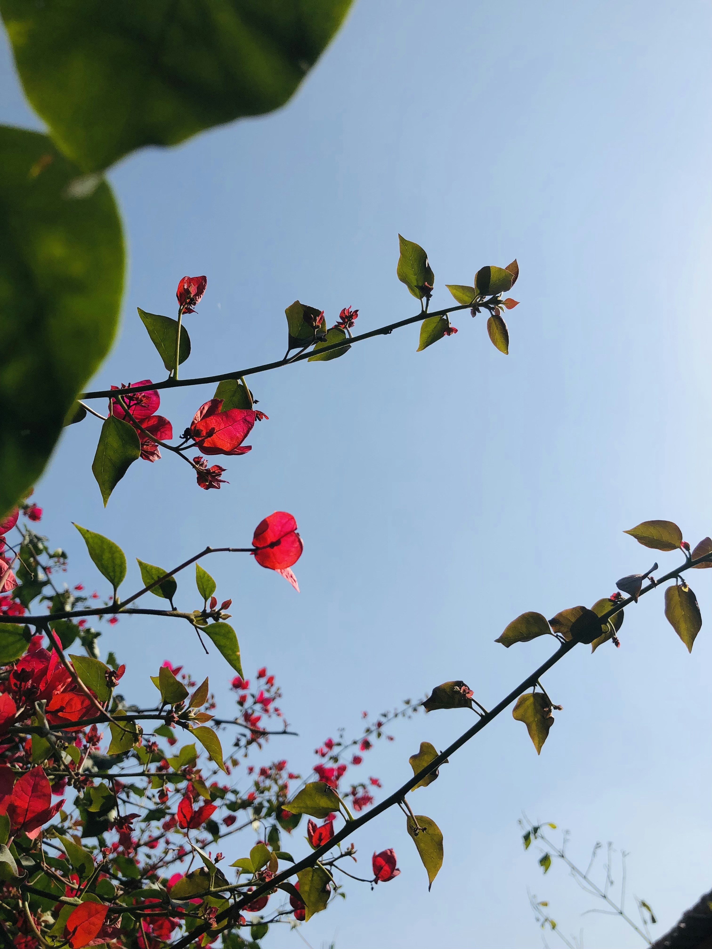 Photo by shakibkhan5526