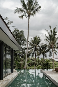 Elegant poolside scene at Riu Palace Costa Mujeres under a sunny sky.