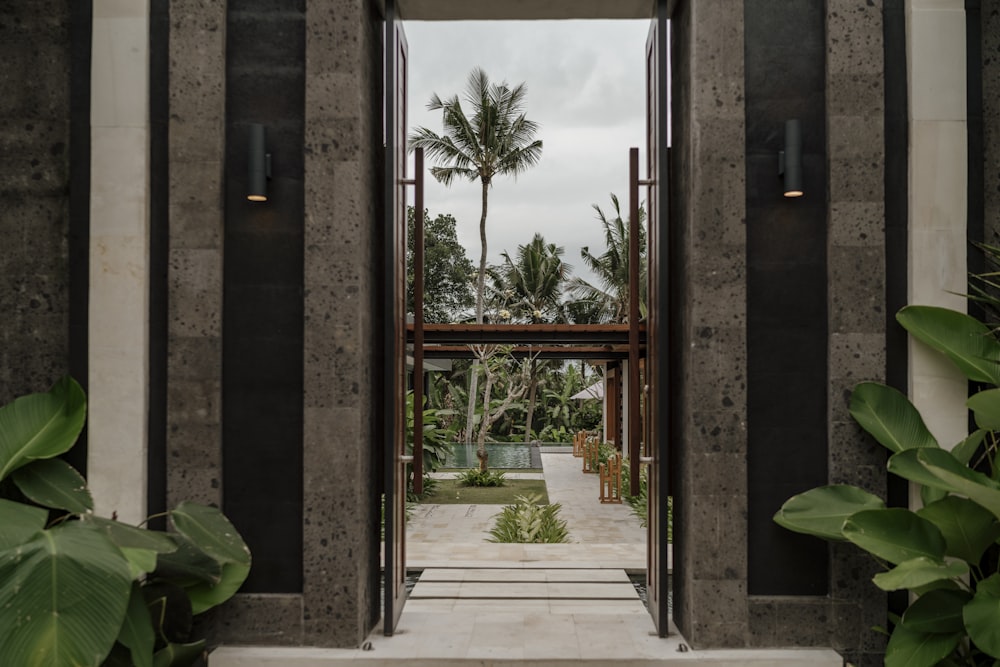 an open door leading to a garden with palm trees