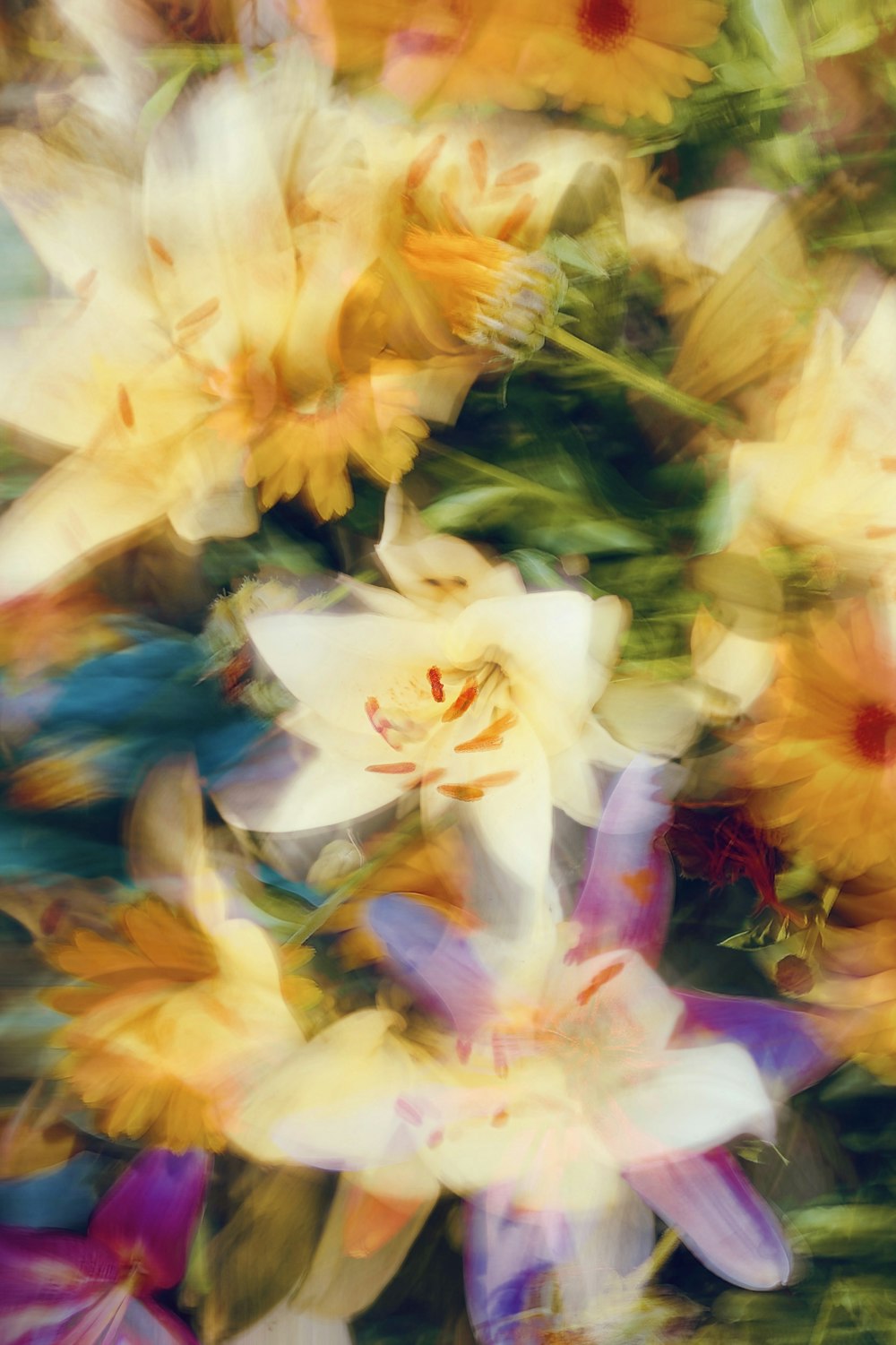 a blurry photo of a bunch of flowers