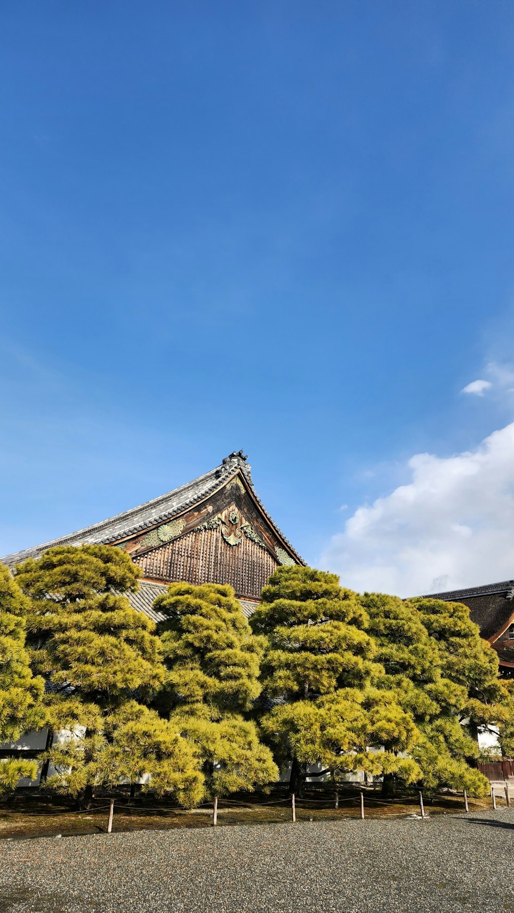 a tall building with a tree in front of it