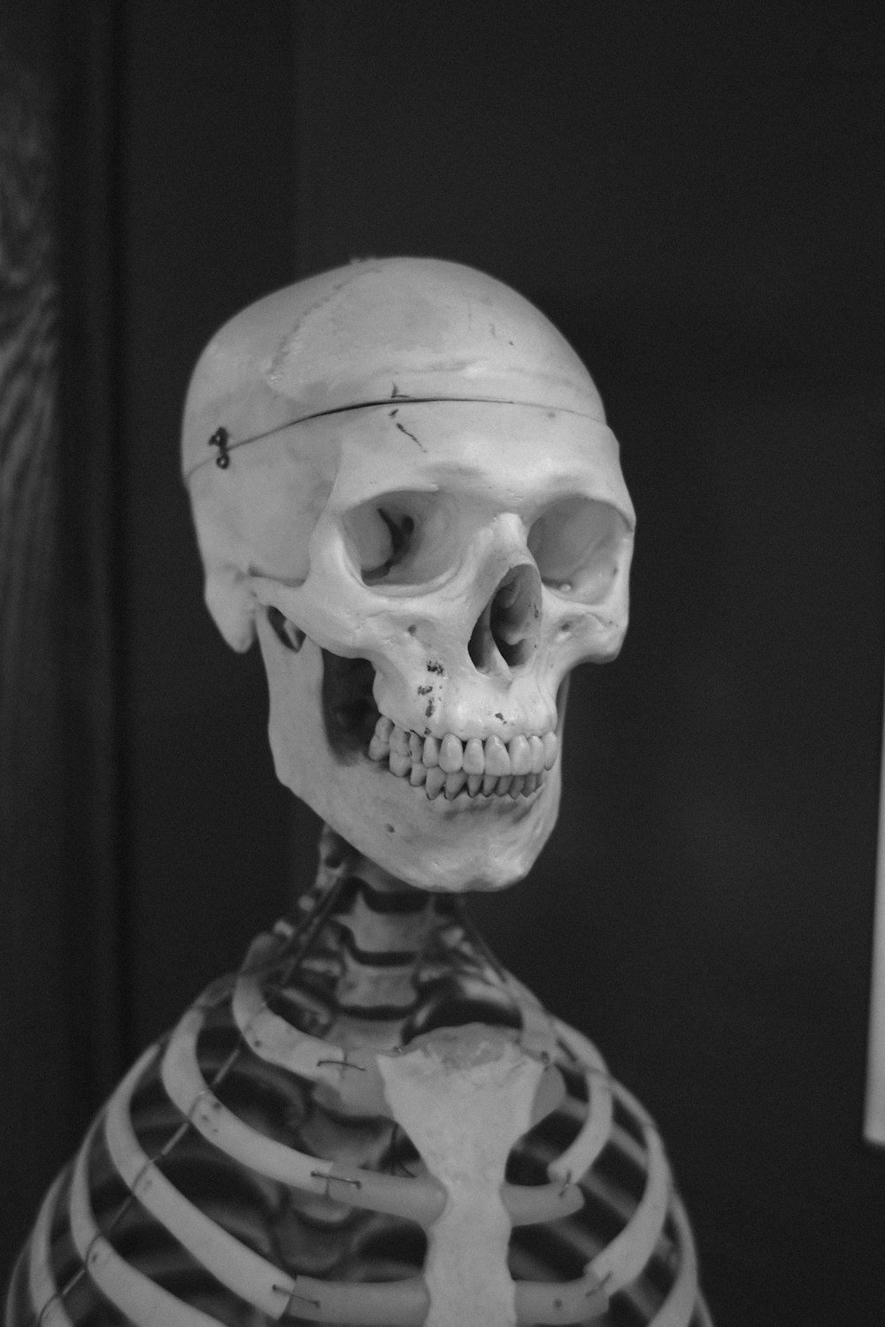 a skeleton is standing in a black and white photo
