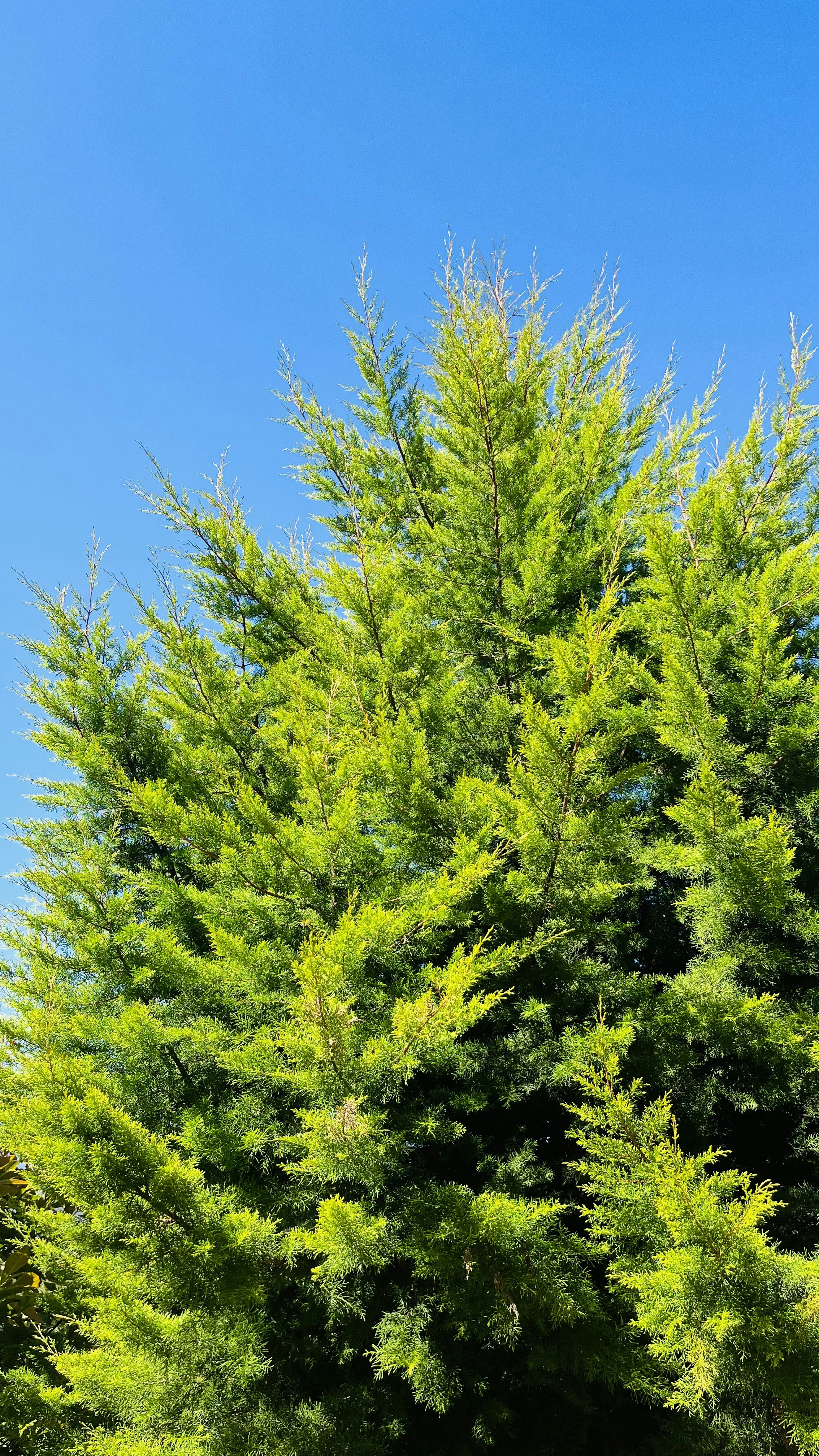 Photo by raghuthamants