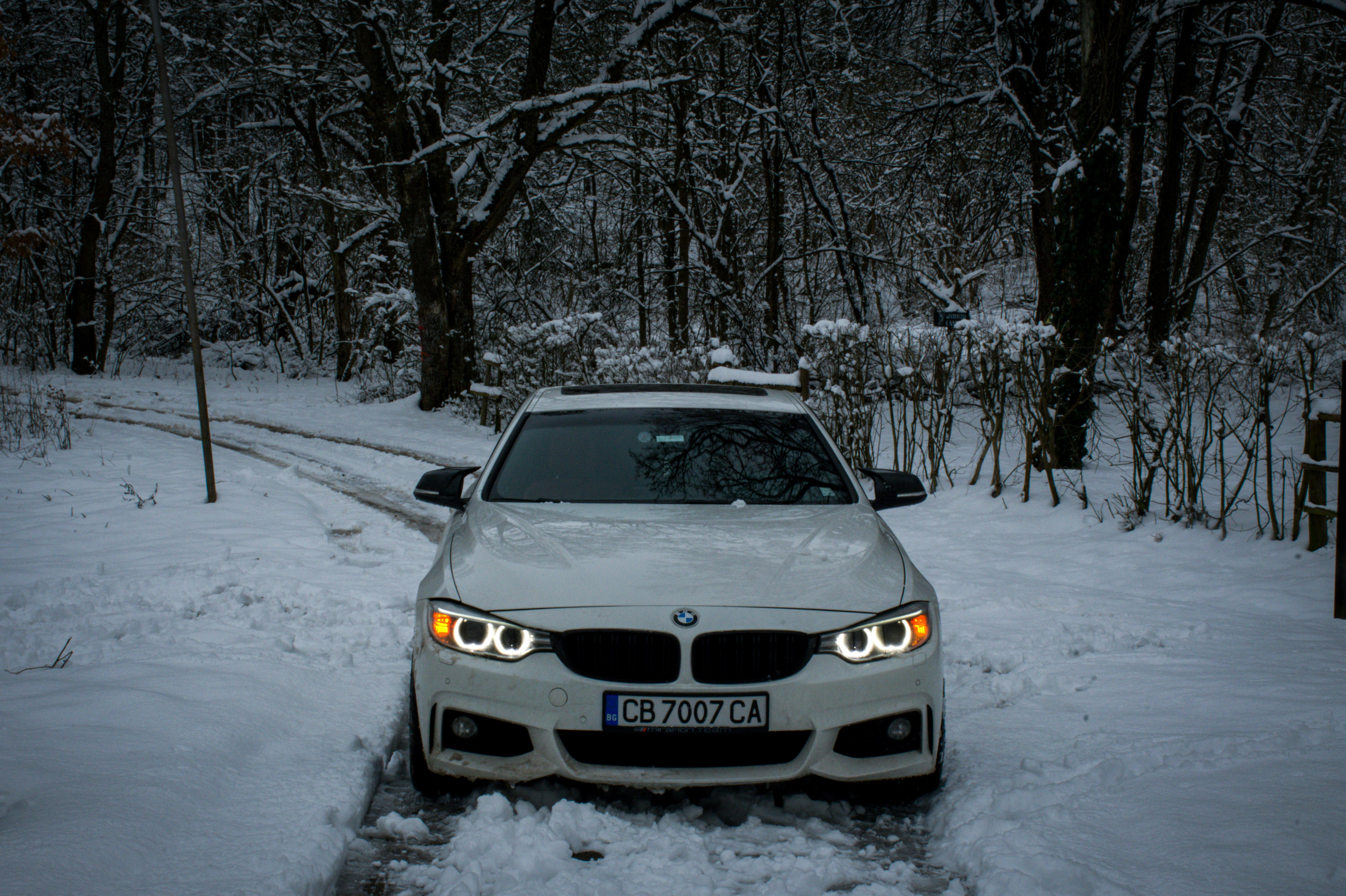 Photo by car_media_group_bg