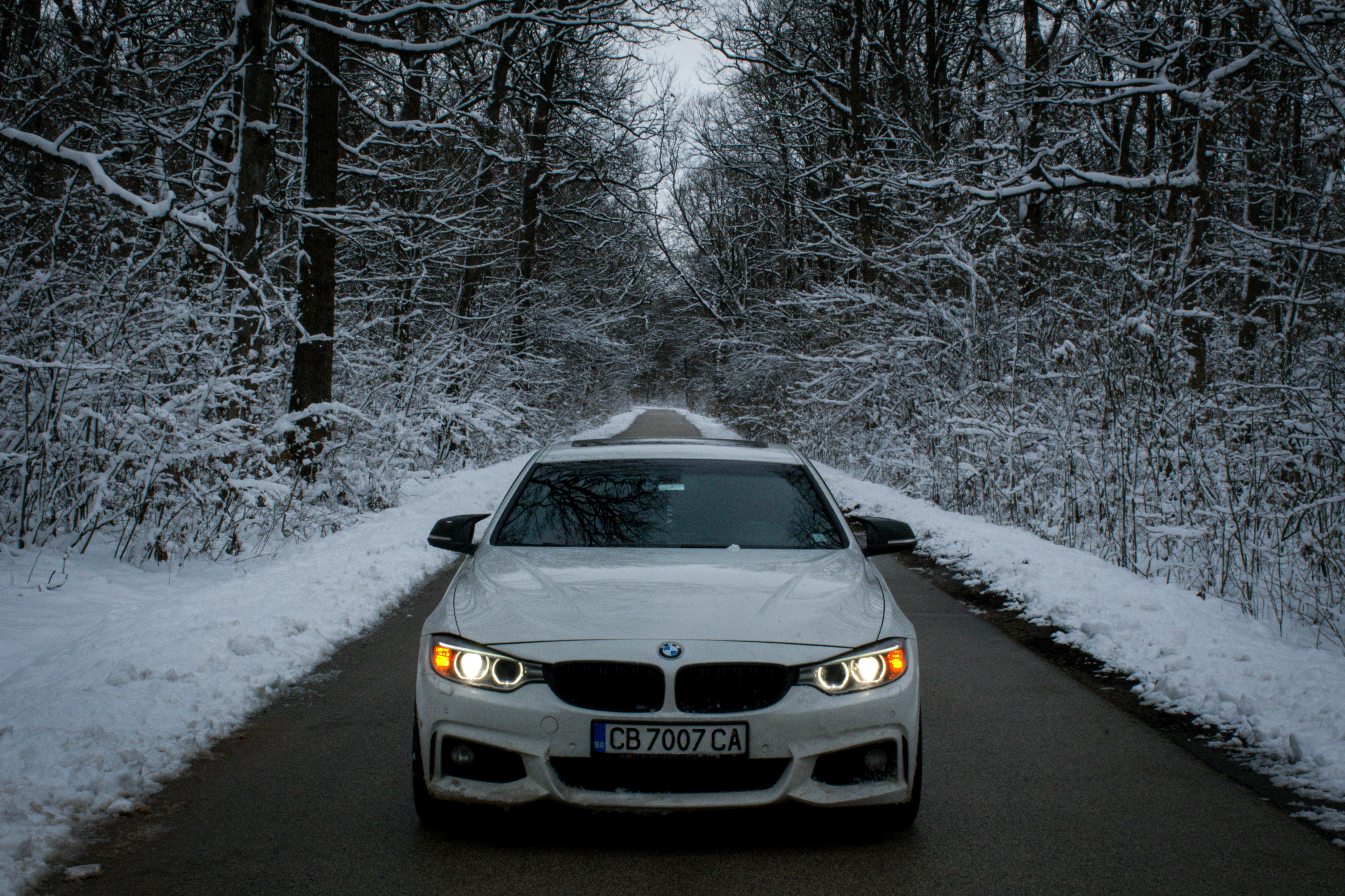 Photo by car_media_group_bg