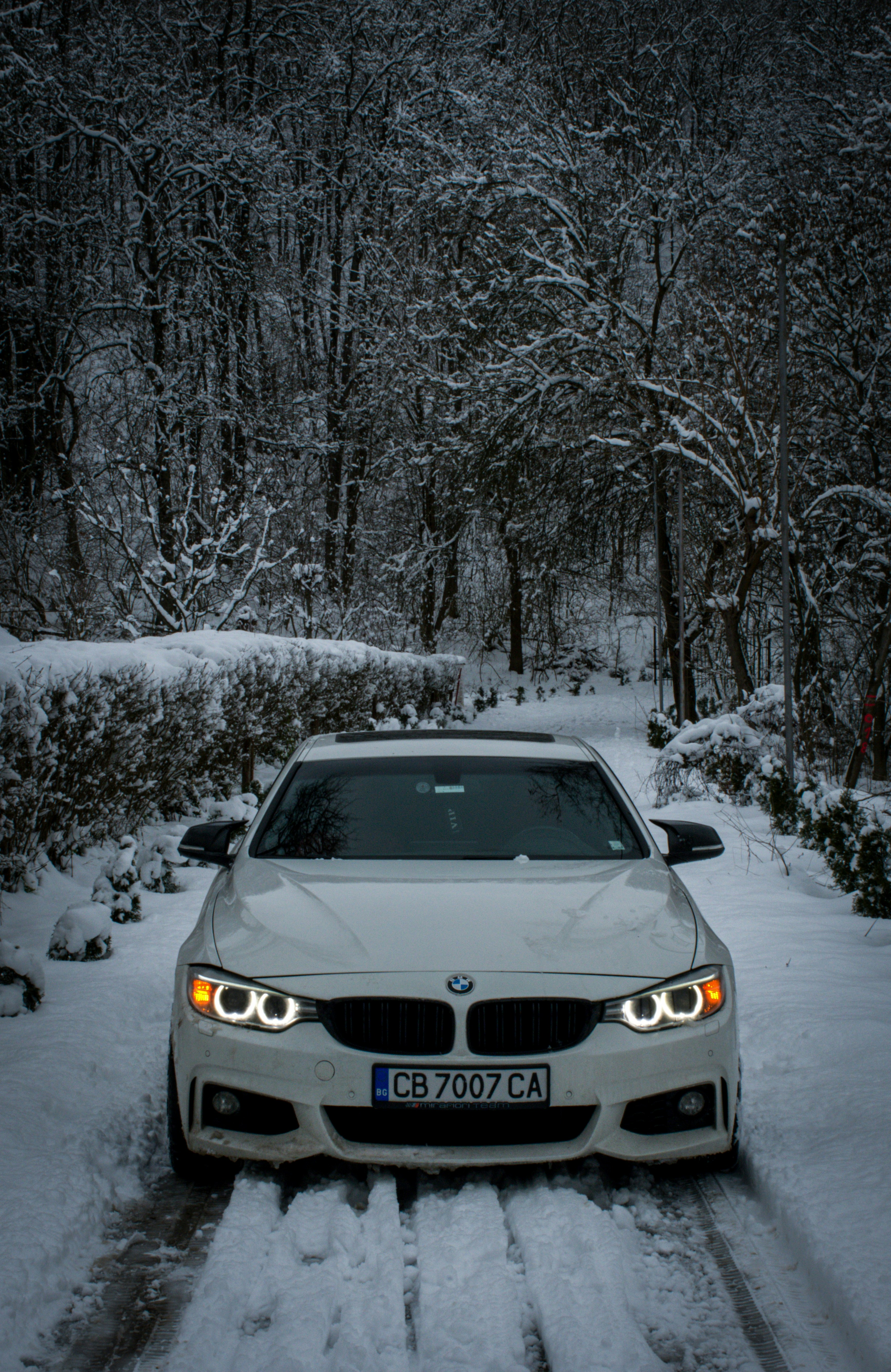 Photo by car_media_group_bg