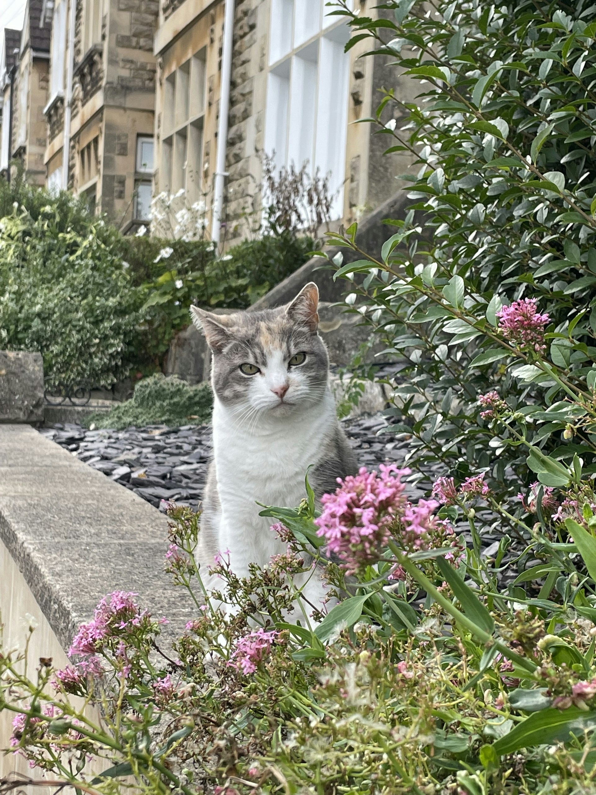woman wearing yellow long-sleeved dress under white clouds and blue sky during daytime