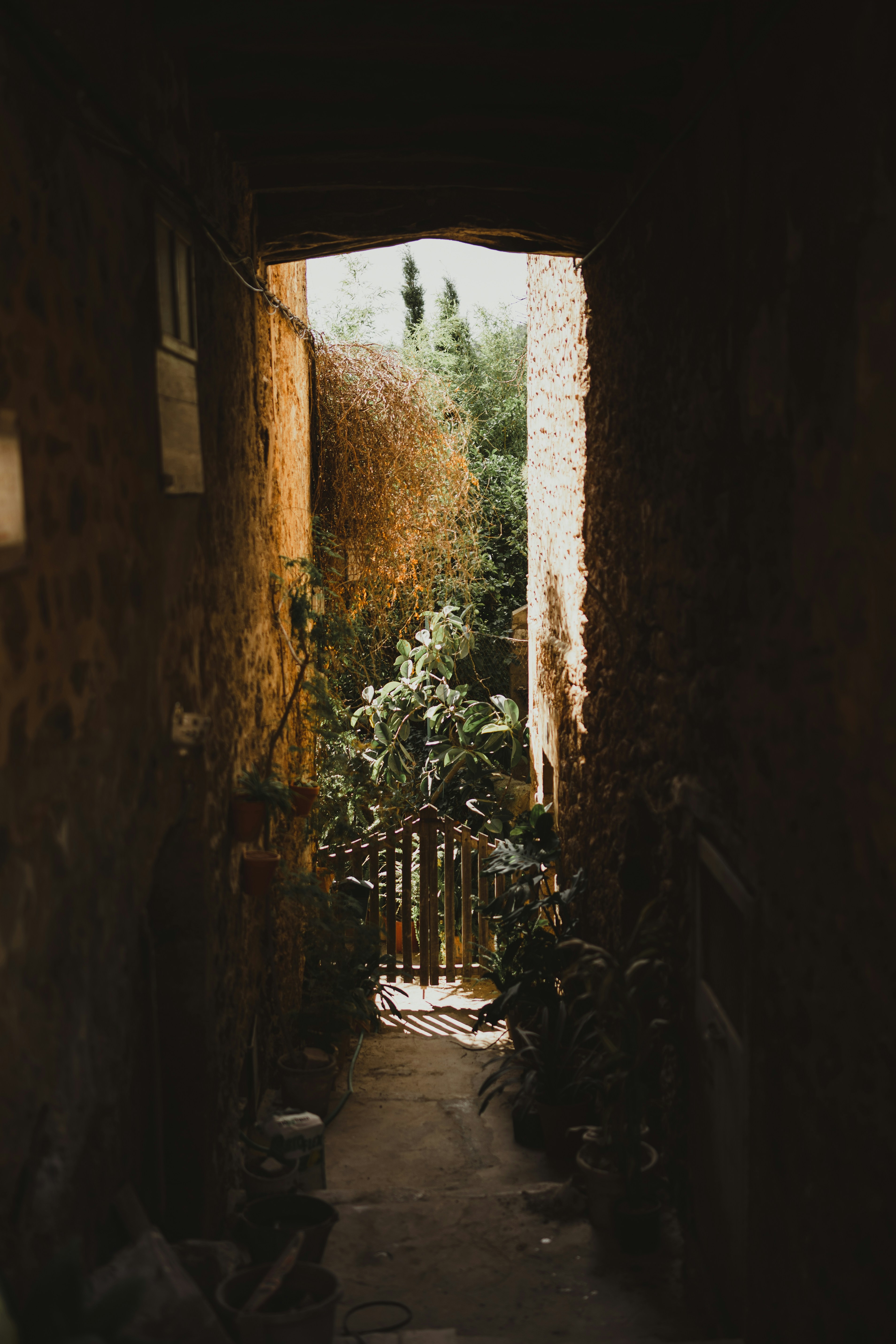 Photo by elmartinbaron