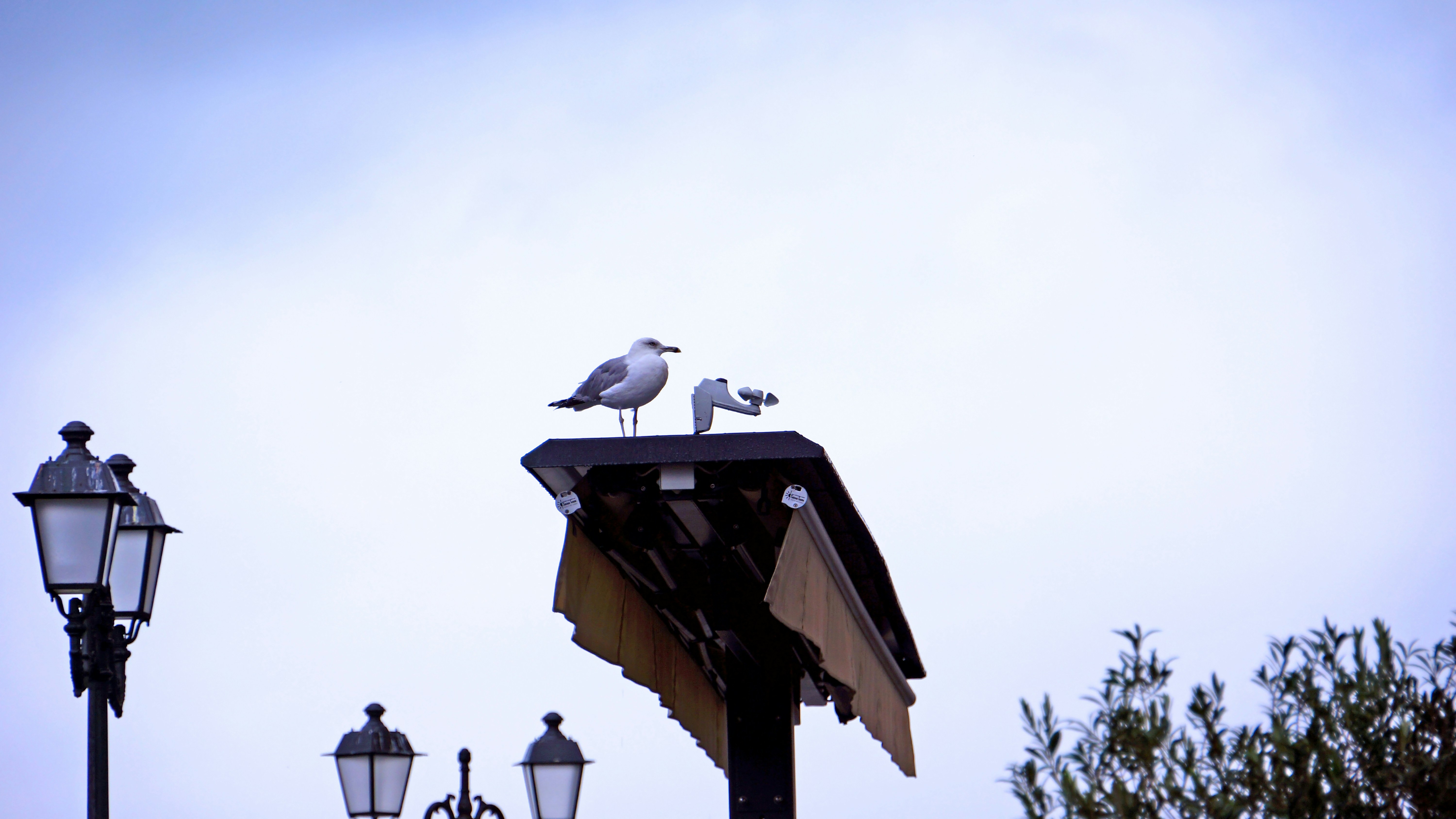Photo by borisview