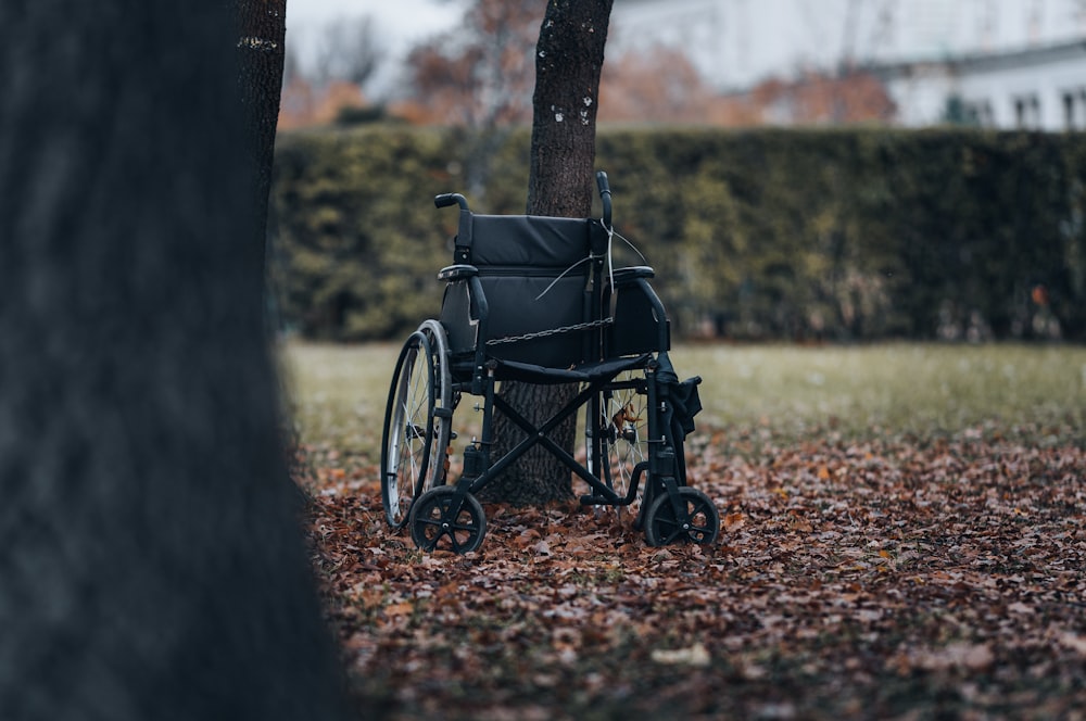 a wheelchair sitting under a tree in a park