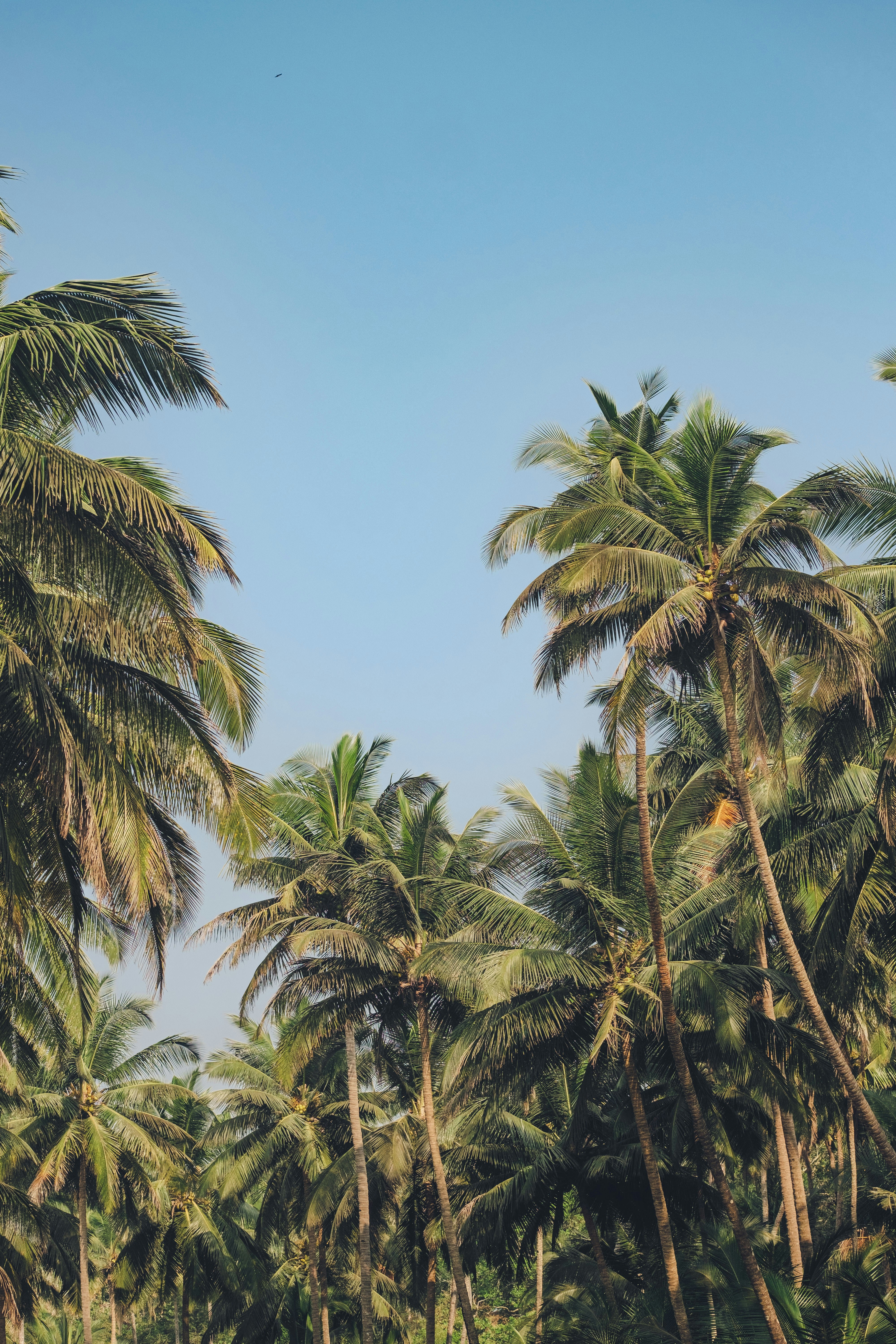 Photo by marcisberzinsx