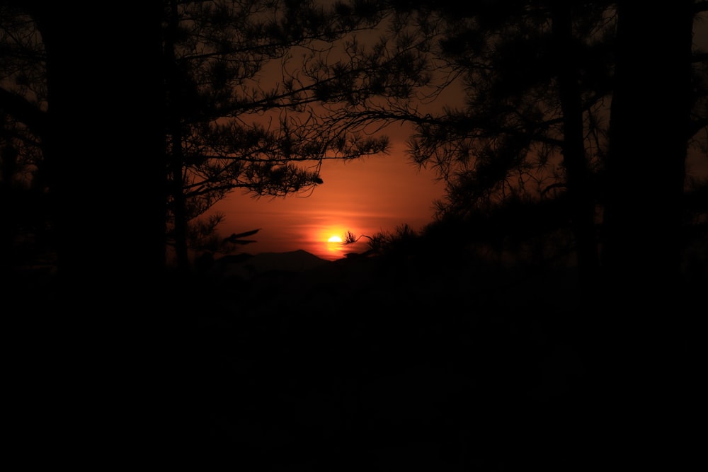 the sun is setting behind some trees