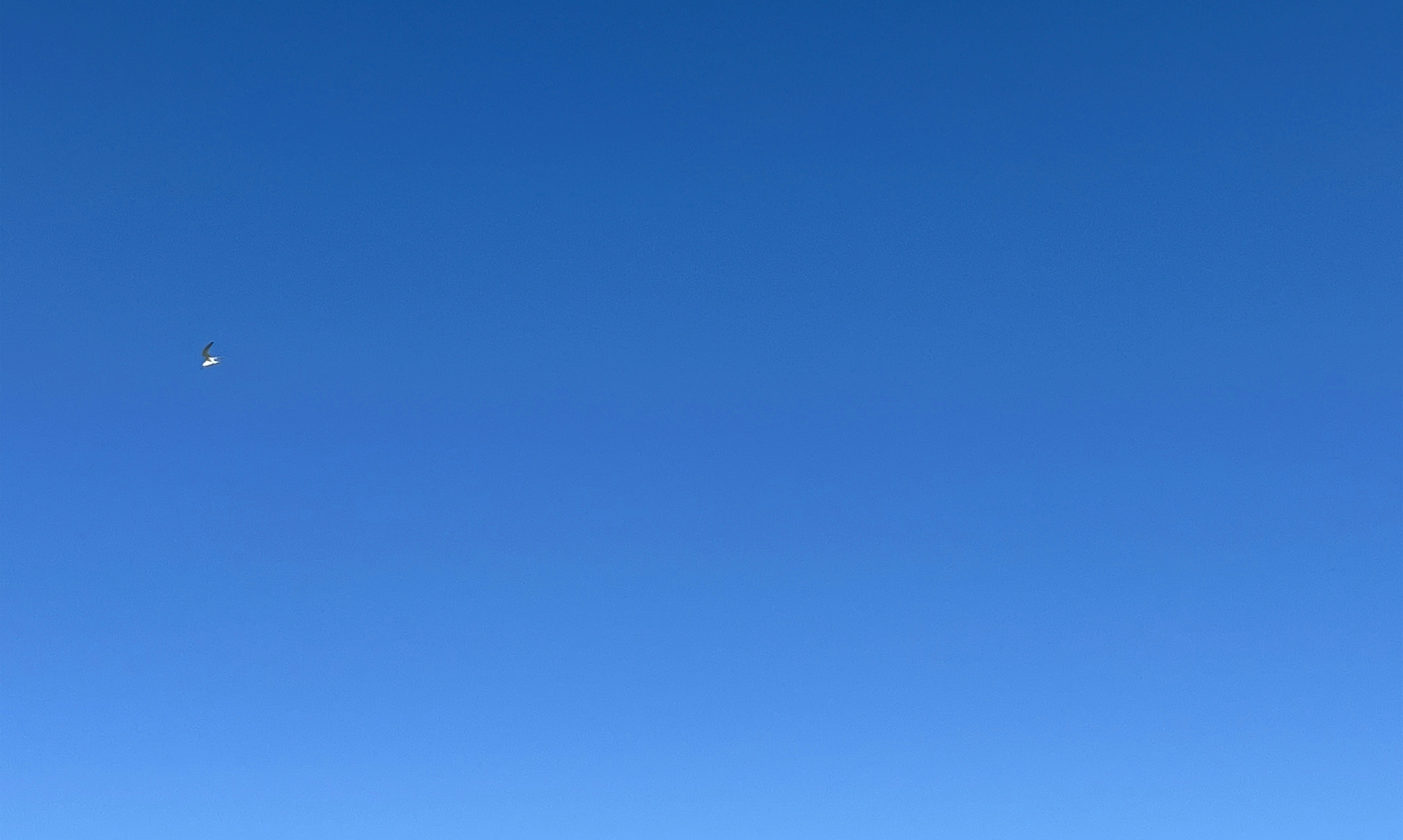 Photo by sohailai_darwesh