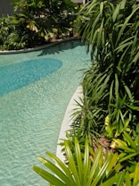 A serene poolside landscape featuring clear, turquoise water with gentle ripples. Lush, green tropical plants surround the pool, providing a sense of tranquility and natural beauty. The sunlight casts soft shadows on the water and foliage, enhancing the peaceful ambiance.