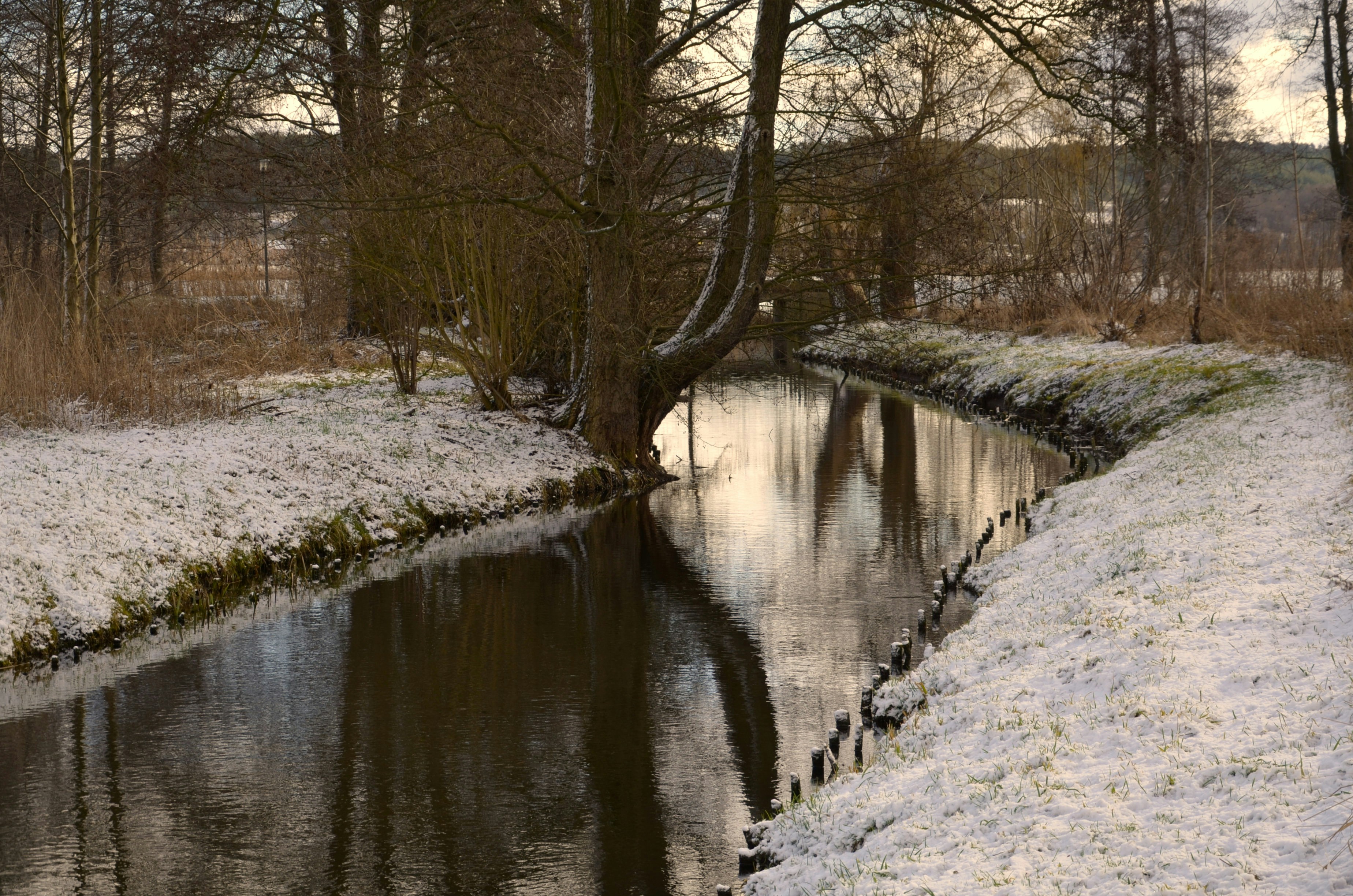 Photo by renovatio72