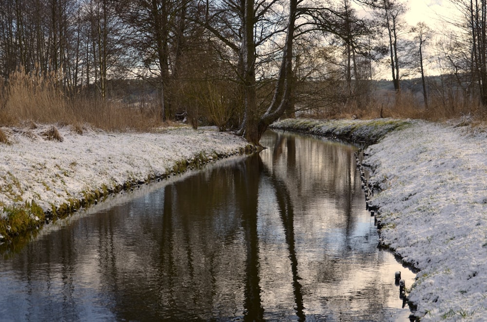 a small stream running through a snow covered forest