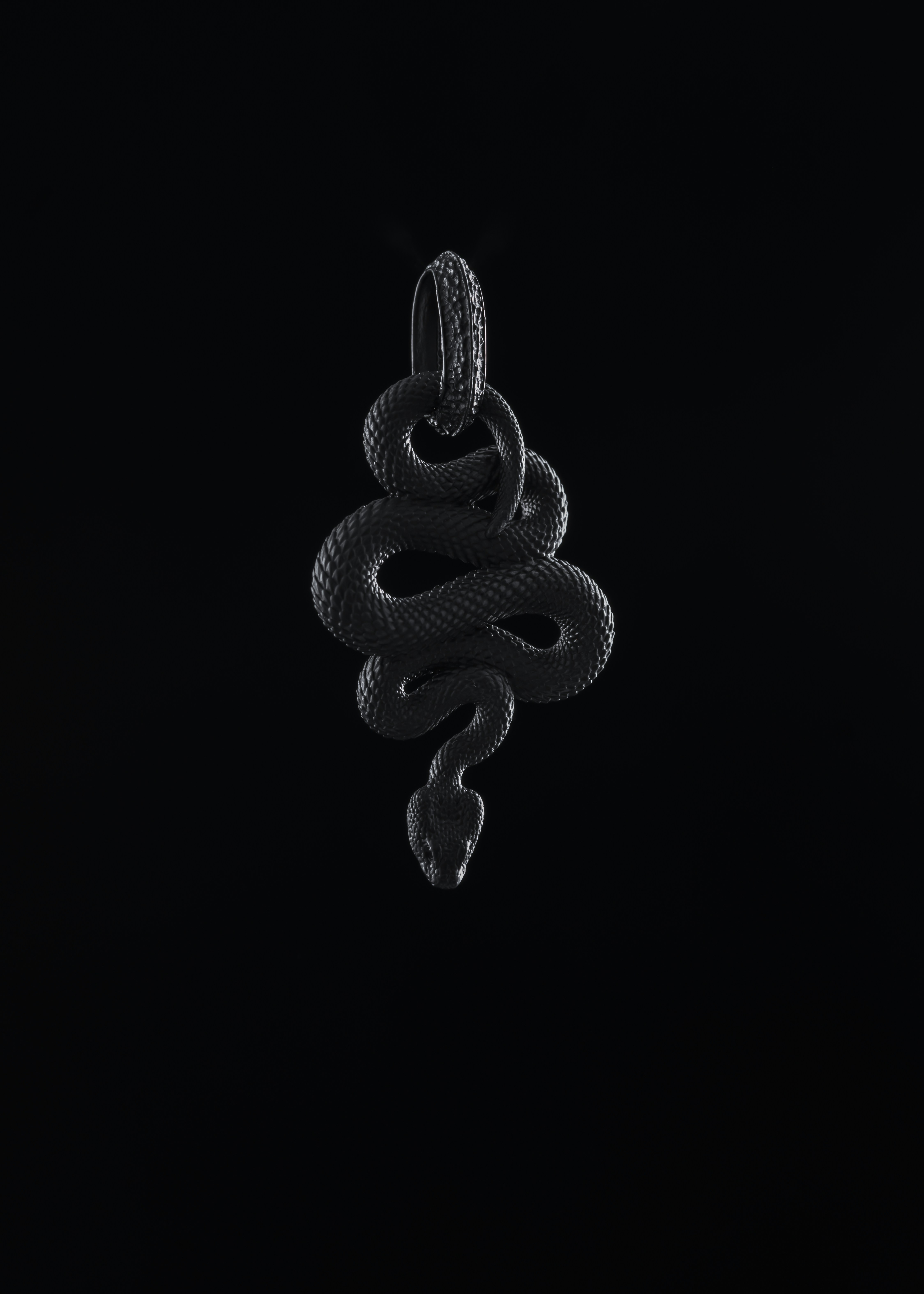 Imágenes de Serpiente Negra | Descarga imágenes gratuitas en Unsplash, image size:3000x4200