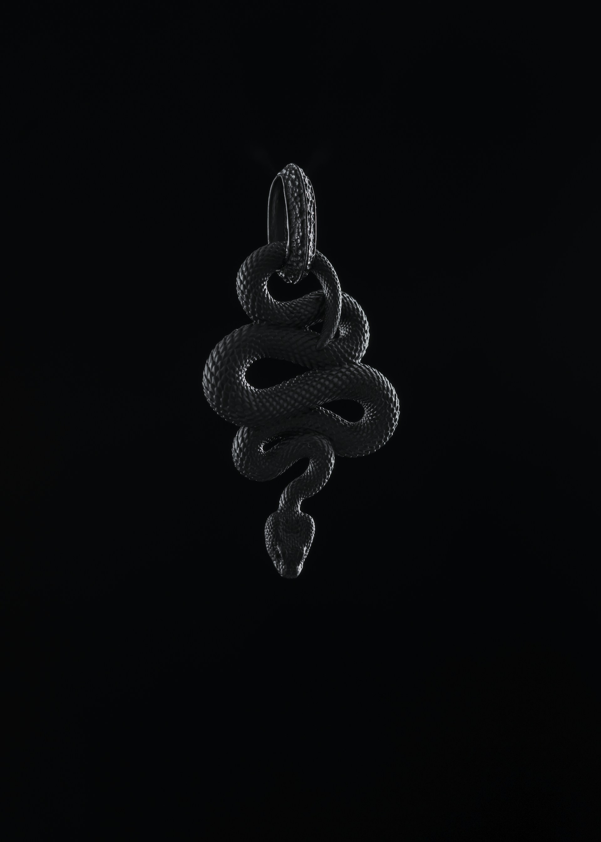 a black and white photo of a snake