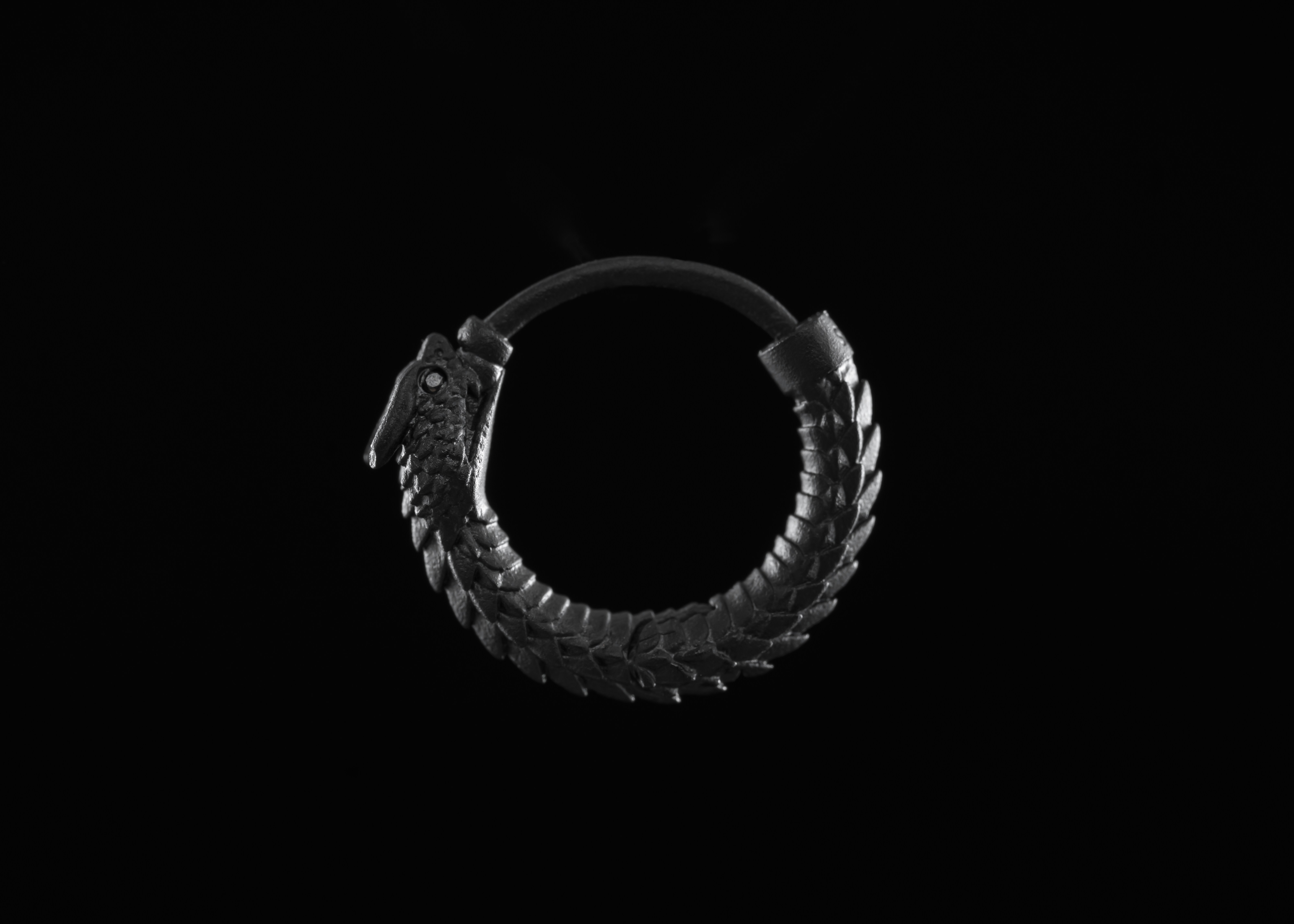 Photo by coppertistwu