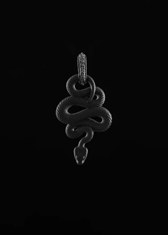 a snake is in the middle of a black background