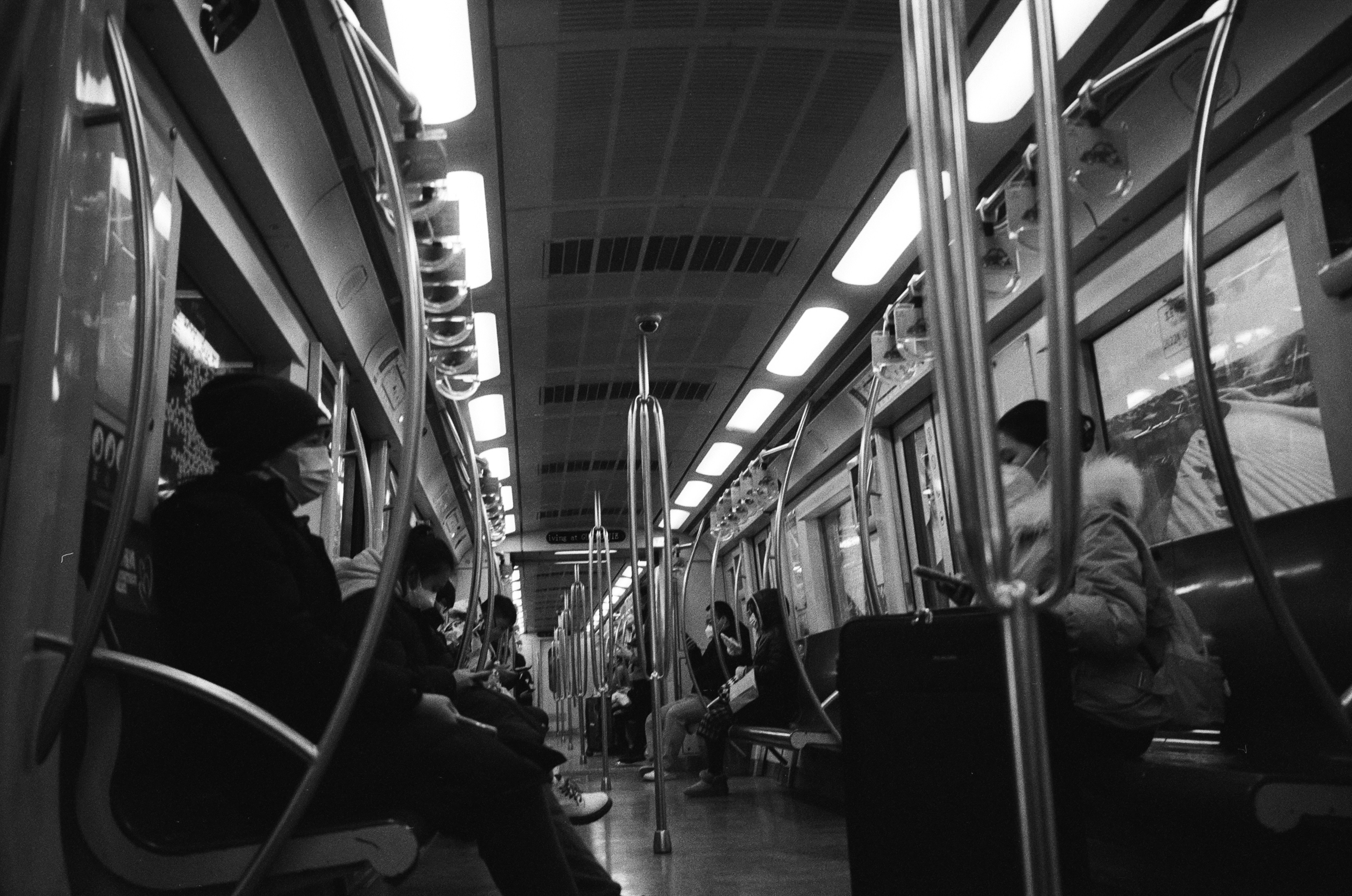 Photo by greedwolf97