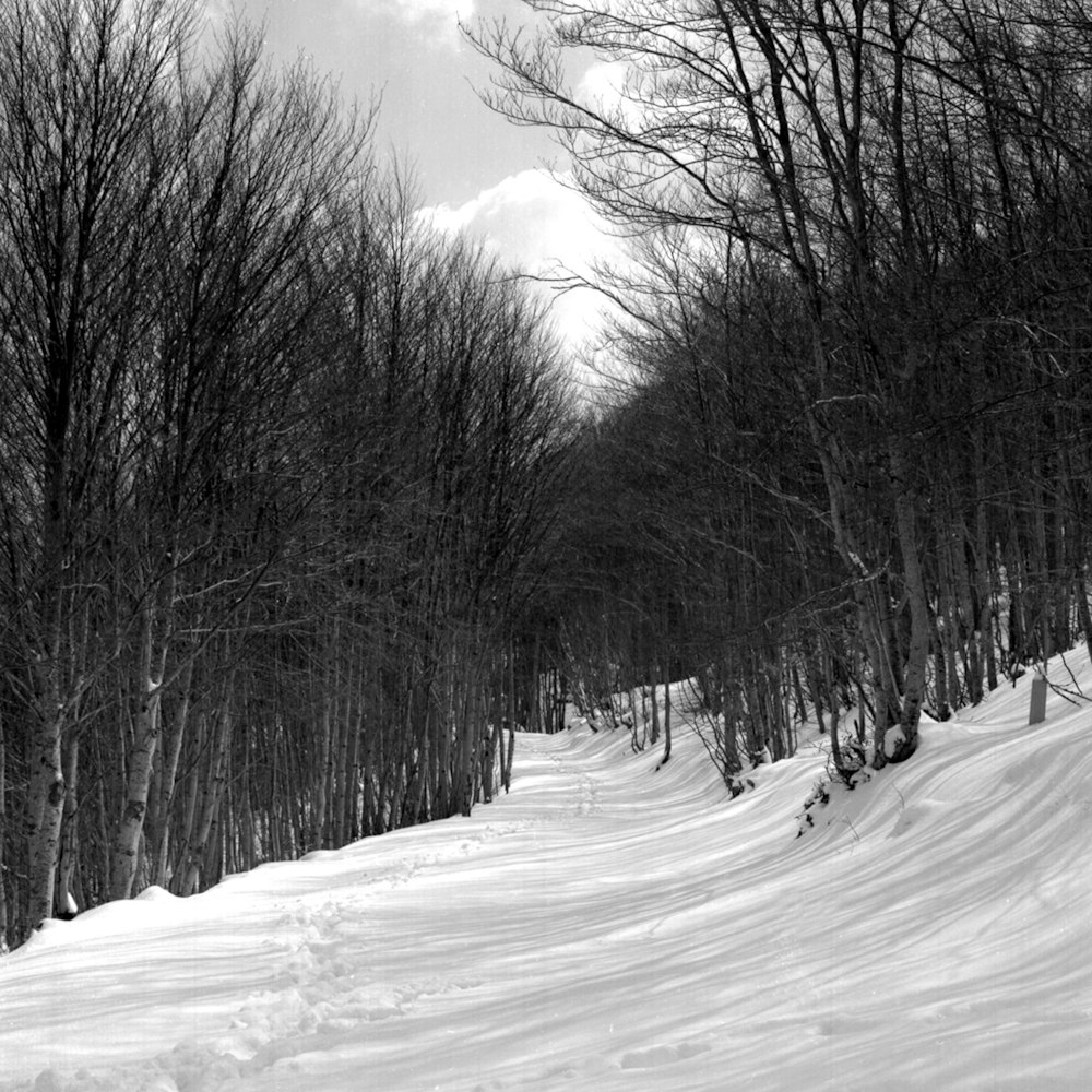 a person riding skis down a snow covered slope