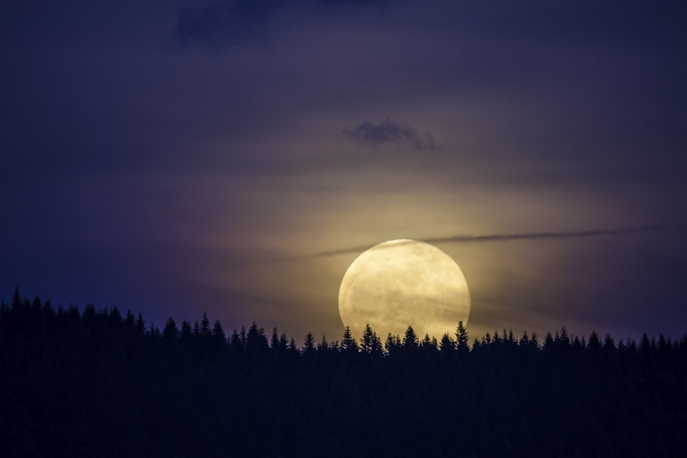 a full moon rising over a forest at night