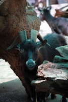 A black goat with prominent curved horns stands near a large, textured piece of wood. The goat's face is partially in shadow, highlighting its distinct features and expression. Another goat is visible in the blurred background, suggesting an outdoor setting.