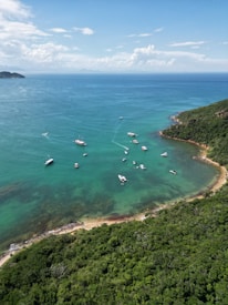 a group of boats floating on top of a body of water