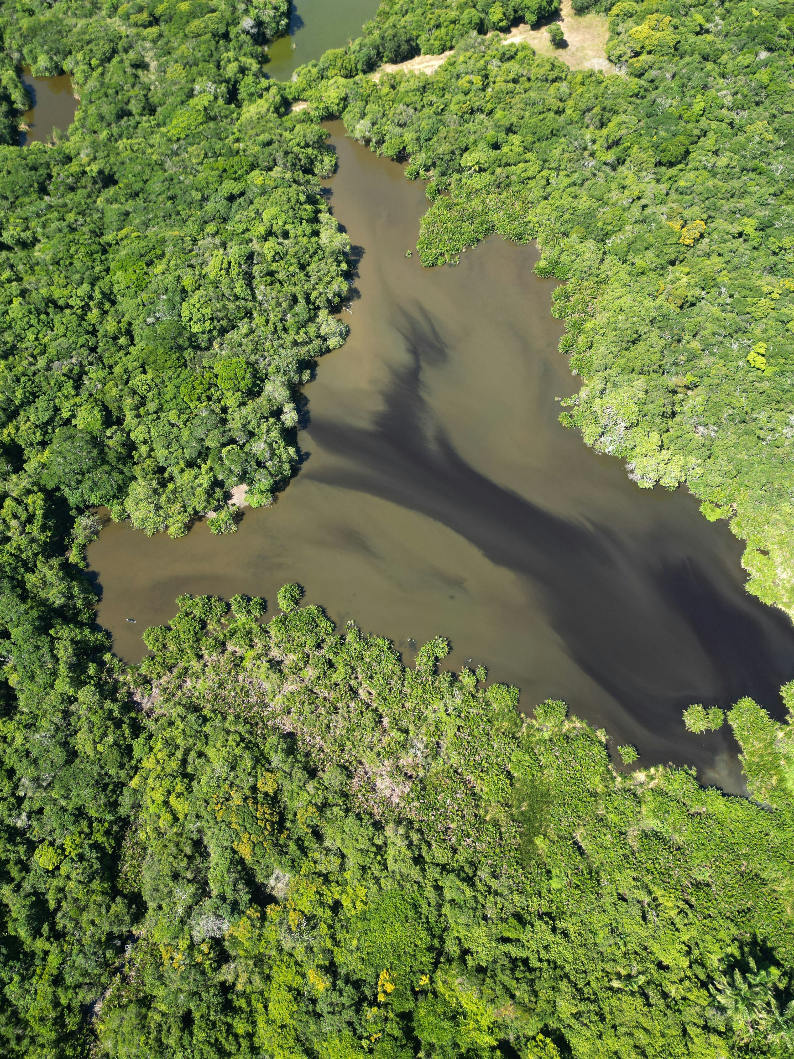 Photo by assuncaocharles