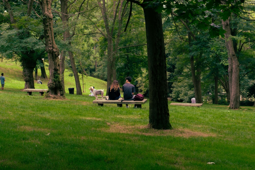 a group of people sitting on top of a wooden bench