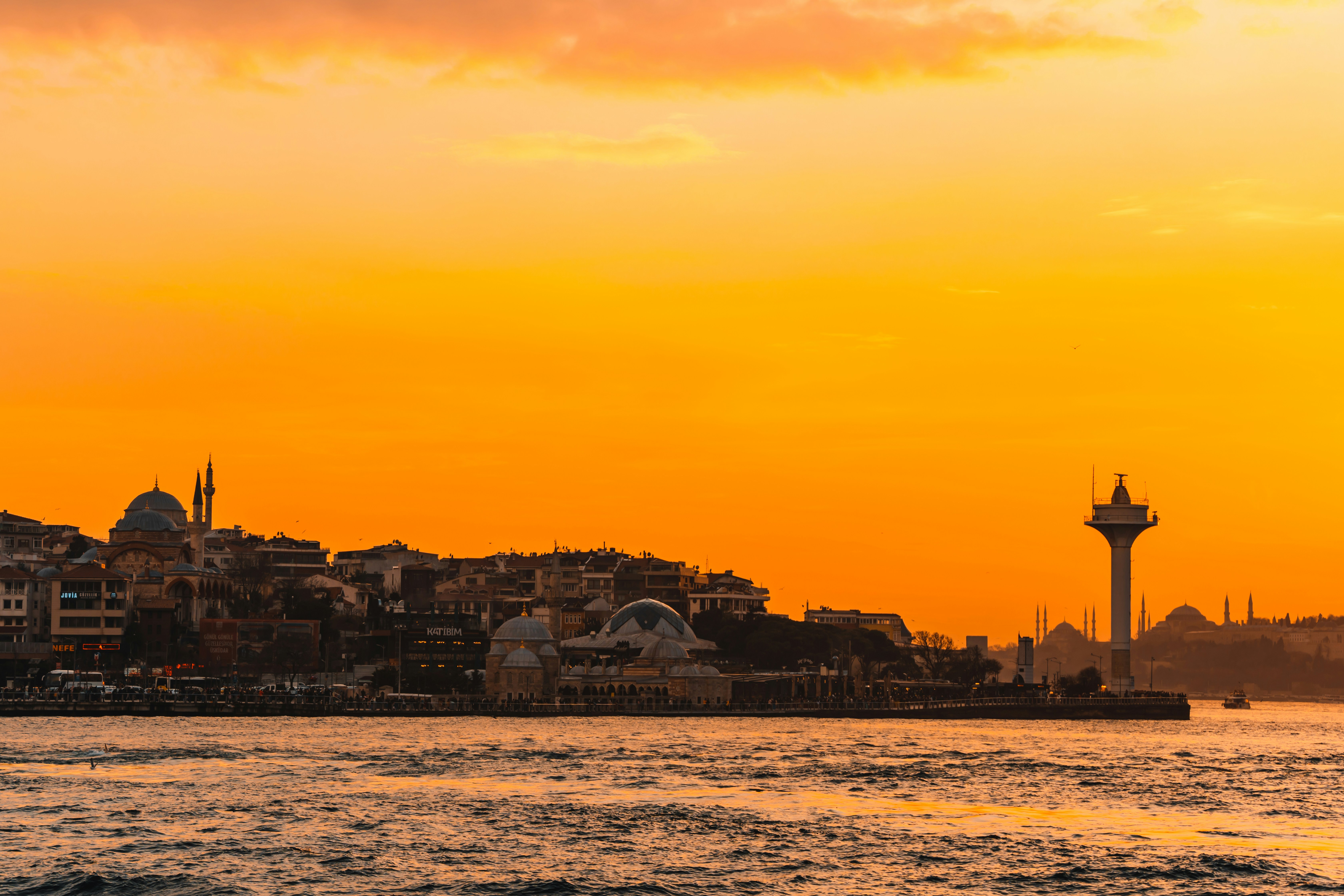 photo-1675686766714-0391a969ecc3?q=80&w=1170&auto=format&fit=crop&ixlib=rb-4.1.0&ixid=M3wxMjA3fDB8MHxwaG90by1wYWdlfHx8fGVufDB8fHx8fA%3D%3D