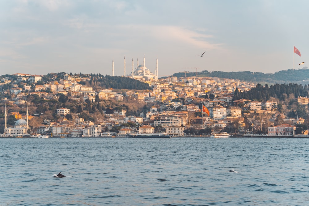 a large body of water with a city in the background