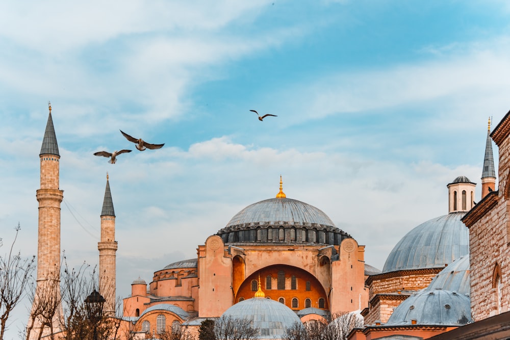 two birds flying over a large building with domes